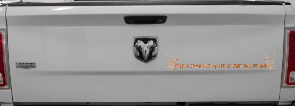 Large Tinkerbell If Your Gonna Ride my Ass At Least Pull My Hair Funny Car or Truck Window Decal Sticker (Nut Brown)