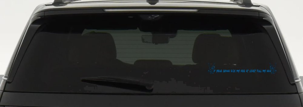 Large Tinkerbell If Your Gonna Ride my Ass At Least Pull My Hair Funny Car or Truck Window Decal Sticker