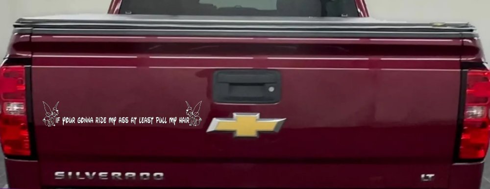 Large Tinkerbell If Your Gonna Ride my Ass At Least Pull My Hair Funny Car or Truck Window Decal Sticker (White)