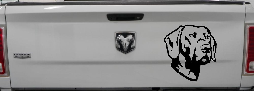 Labrador Retriever Dog Car or Truck Window Decal Sticker