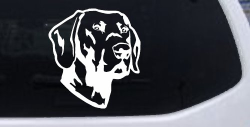 Labrador Retriever Dog Car or Truck Window Decal Sticker (White)