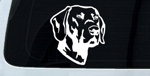 Labrador Retriever Dog Car Truck Window Vinyl Decal Sticker (White)