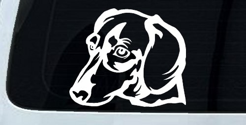 Dachshund Dog Car Truck Window Vinyl Decal Sticker (White)