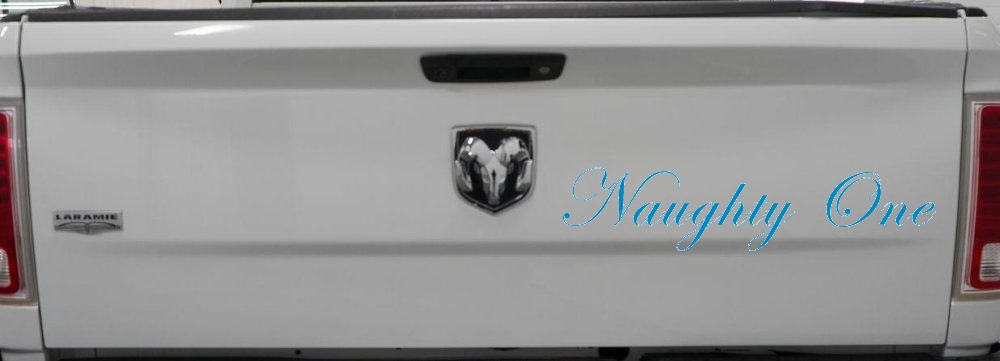 Naughty One Car or Truck Window Decal Sticker