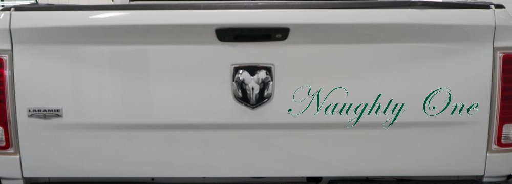 Naughty One Car or Truck Window Decal Sticker (Dark Green)