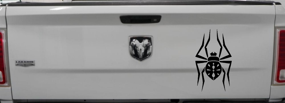Spider Animals Car or Truck Window Decal Sticker