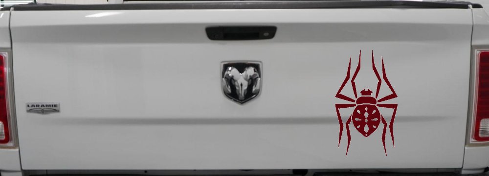 Spider Animals Car or Truck Window Decal Sticker