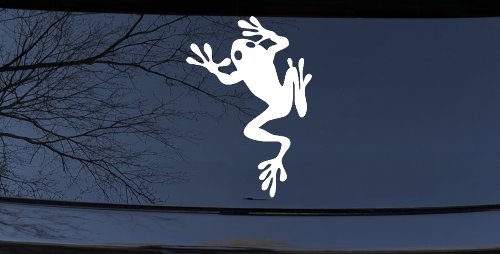Frog Car or Truck Window Decal Sticker