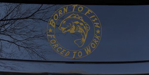 Born To Fish Forced To Work Decal Truck Car Window Vinyl Sticker (Gold)