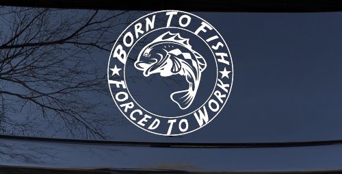 Born To Fish Forced To Work Decal Truck Car Window Vinyl Sticker (White)