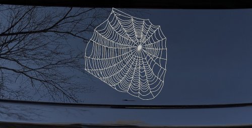 Spider Web Animals Car or Truck Window Decal Sticker (Light Gray)