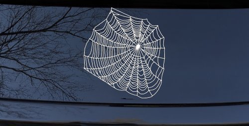 Spider Web Animals Car or Truck Window Decal Sticker (White)