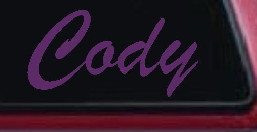 Cody (Violet)