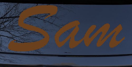 Sam (Copper)