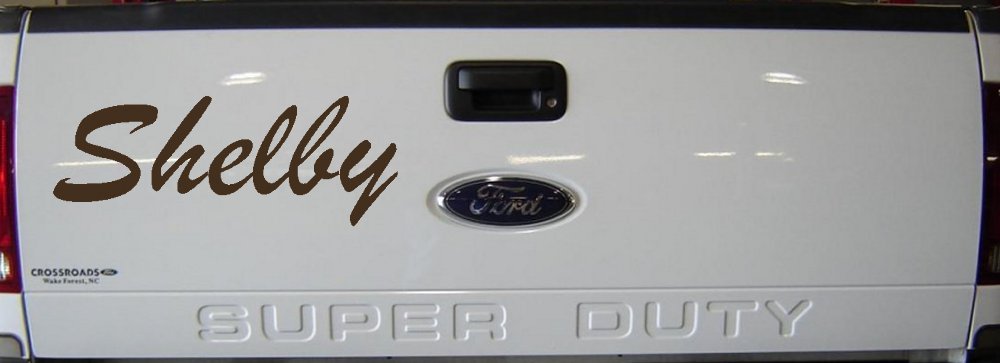 Shelby (Brown)