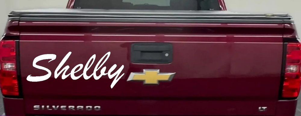 Shelby (White)