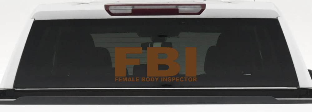 FBI Female Body Inspector Funny Car or Truck Window Decal Sticker (Copper)