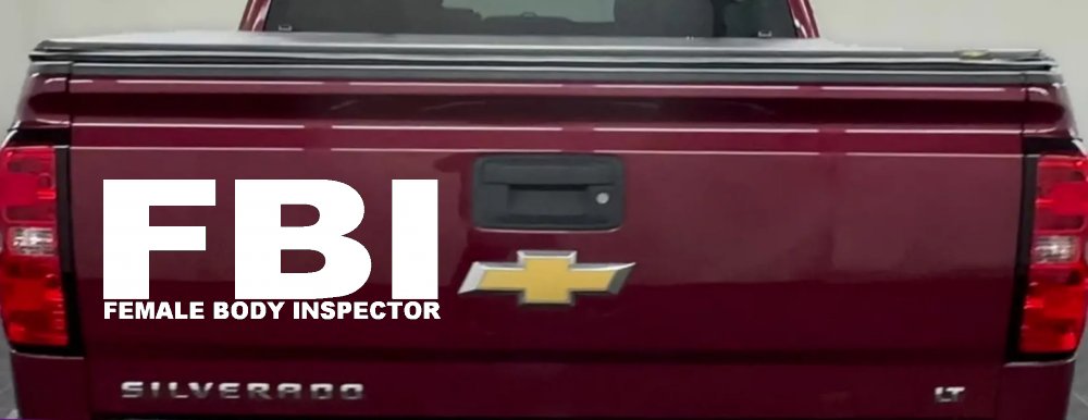 FBI Female Body Inspector Funny Car or Truck Window Decal Sticker (White)