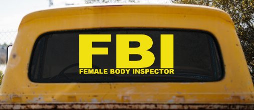 FBI Female Body Inspector Funny Car or Truck Window Decal Sticker (Yellow)