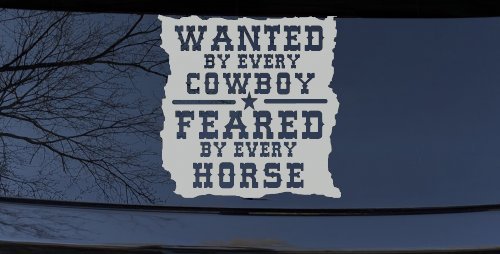 Wanted By Cowboys Feared By Horses Western Rodeo Car or Truck Window Decal Sticker (Light Gray)