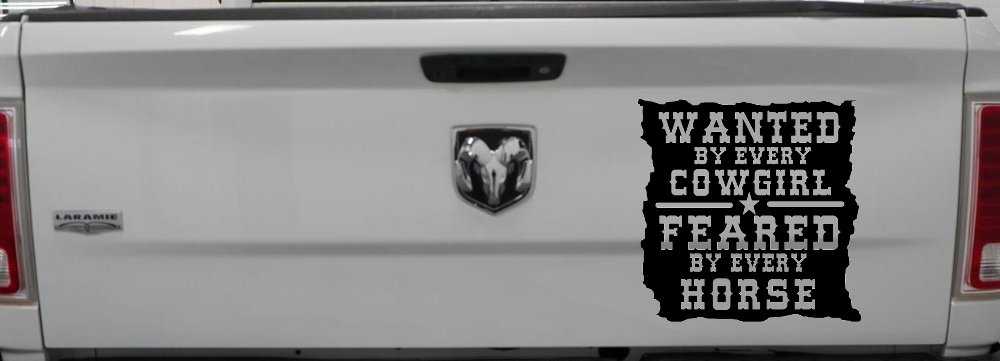 Wanted By Cowgirls Feared By Horses Western Rodeo Car or Truck Window Decal Sticker