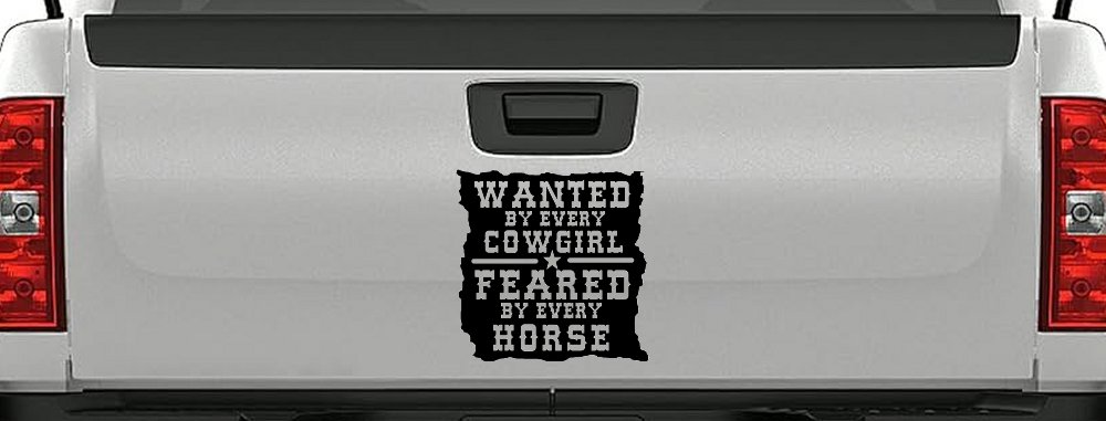 Wanted By Cowgirls Feared By Horses Western Rodeo Car or Truck Window Decal Sticker (Black)