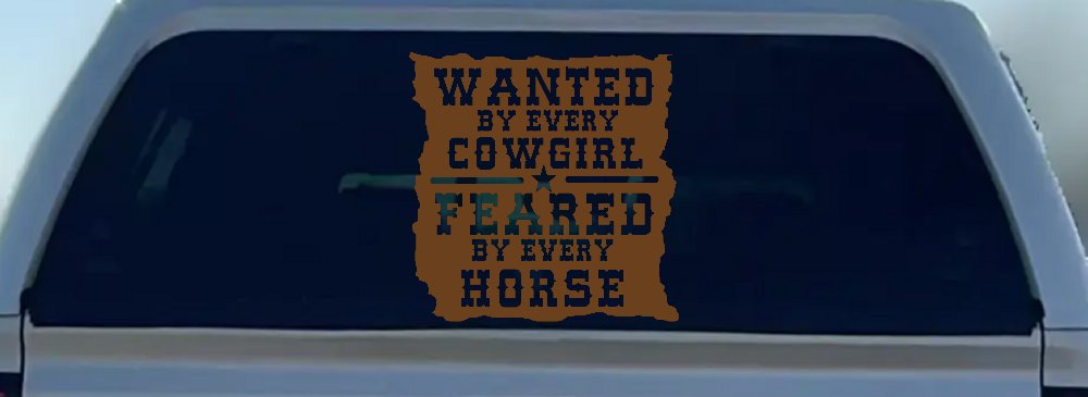 Wanted By Cowgirls Feared By Horses Western Rodeo Car or Truck Window Decal Sticker (Copper)