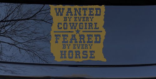 Wanted By Cowgirls Feared By Horses Western Rodeo Car or Truck Window Decal Sticker