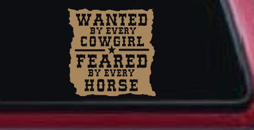Wanted By Cowgirls Feared By Horses Western Rodeo Car or Truck Window Decal Sticker