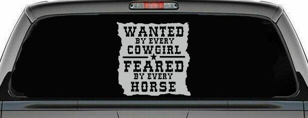 Wanted By Cowgirls Feared By Horses Western Rodeo Car or Truck Window Decal Sticker (Light Gray)