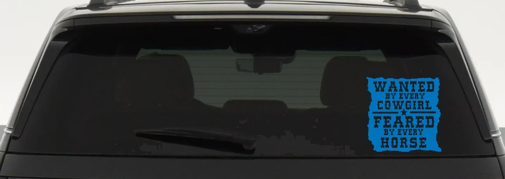 Wanted By Cowgirls Feared By Horses Western Rodeo Car or Truck Window Decal Sticker (Sky Blue)