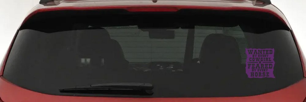 Cowgirl Wanted Feared By Horses Rodeo Truck Car Window Decal Sticker (Violet)