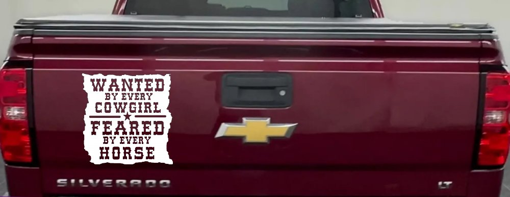 Cowgirl Wanted Feared By Horses Rodeo Truck Car Window Decal Sticker (White)