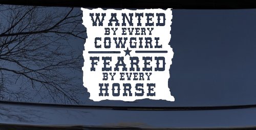 Wanted By Cowgirls Feared By Horses Western Rodeo Car or Truck Window Decal Sticker