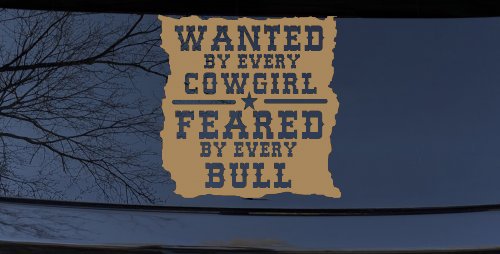 Wanted By Cowgirls Feared By Bulls Western Rodeo Car or Truck Window Decal Sticker