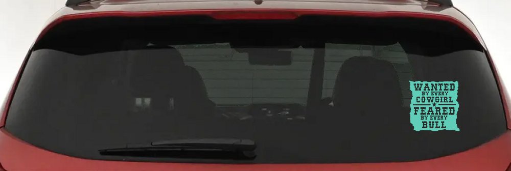 Wanted By Cowgirls Feared By Bulls Western Rodeo Car or Truck Window Decal Sticker (Mint)