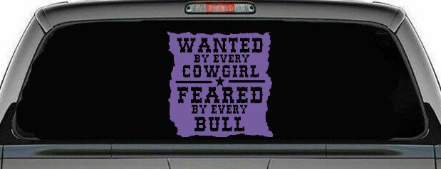 Wanted By Cowgirls Feared By Bulls Western Rodeo Car or Truck Window Decal Sticker (Purple)