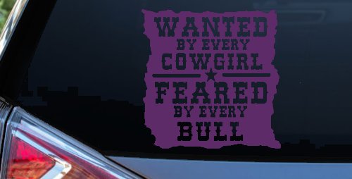 Wanted By Cowgirls Feared By Bulls Western Rodeo Car or Truck Window Decal Sticker (Violet)