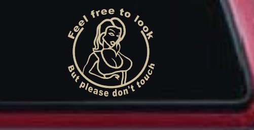 Feel Free to Look But Please Don't Touch Girl Car or Truck Window Decal Sticker
