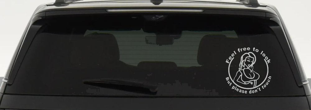 Feel Free to Look But Please Don't Touch Girl Car or Truck Window Decal Sticker