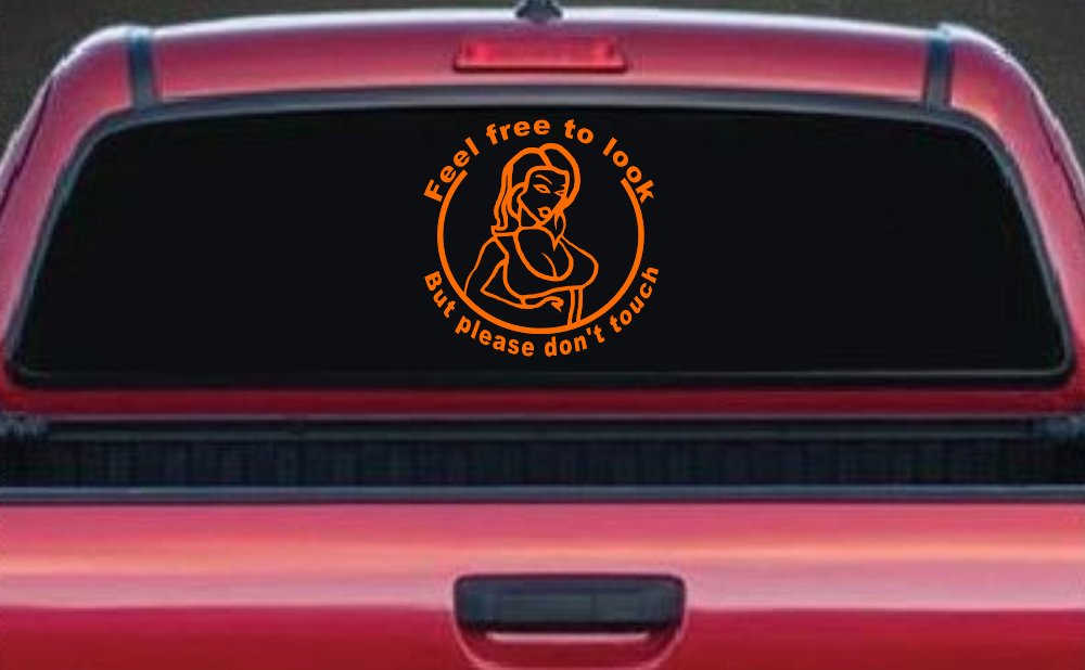 Feel Free to Look But Please Don't Touch Girl Car or Truck Window Decal Sticker