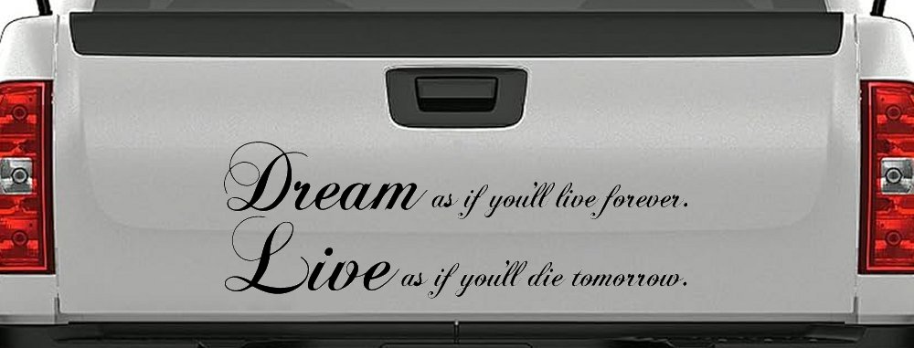 Dream as if youll live forever Car or Truck Window Decal Sticker (Black)