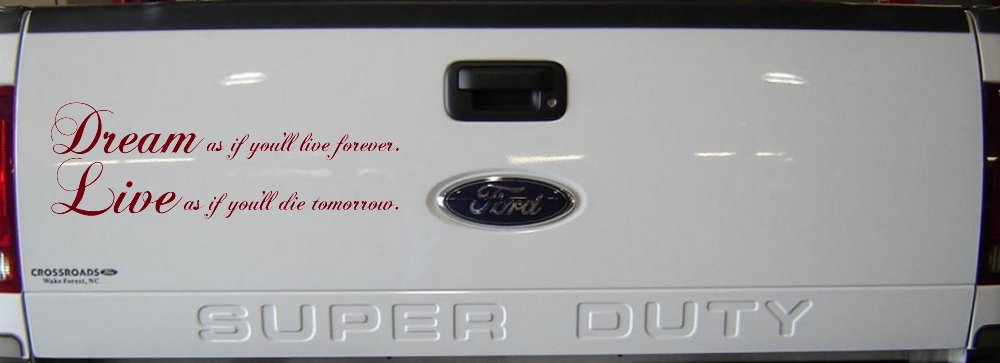 Dream as if youll live forever Car or Truck Window Decal Sticker