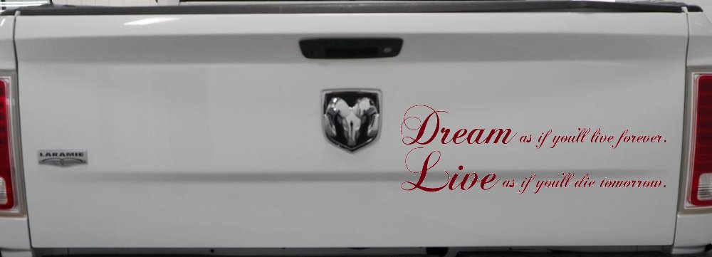 Dream as if youll live forever Car or Truck Window Decal Sticker