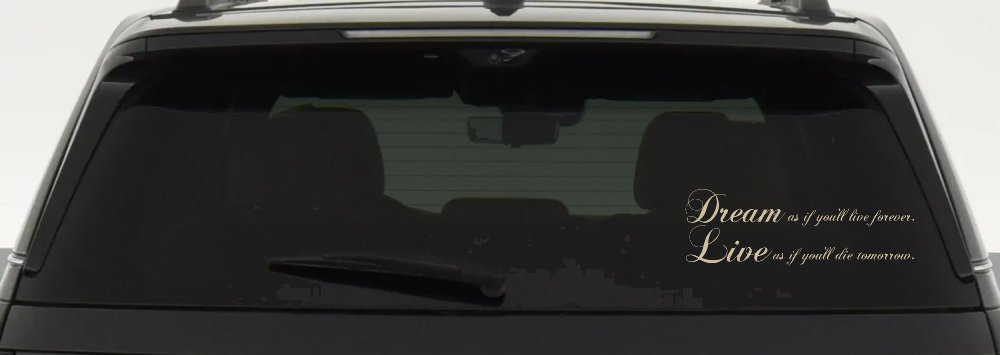 Dream as if youll live forever Car or Truck Window Decal Sticker (Desert Sand)