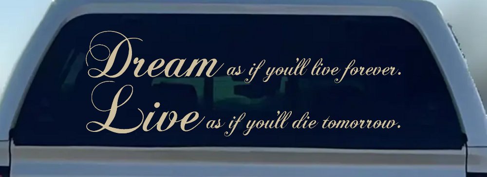 Dream as if youll live forever Car or Truck Window Decal Sticker (Desert Sand)