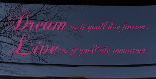 Dream as if youll live forever Car or Truck Window Decal Sticker (Hot Pink)