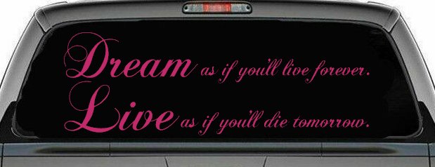 Dream as if youll live forever Car or Truck Window Decal Sticker (Hot Pink)