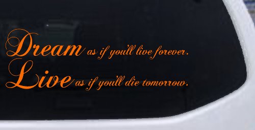 Dream as if youll live forever Car or Truck Window Decal Sticker (Orange)
