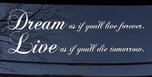 Dream as if youll live forever Car or Truck Window Decal Sticker